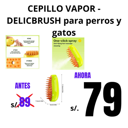 CEPILLO VAPOR - DELICBRUSH